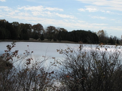 39 +/- Acres Gladwin, MI (660' on Chatman Lake) featured photo