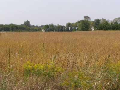 The Estate of Elizabeth Horstmyer featured photo