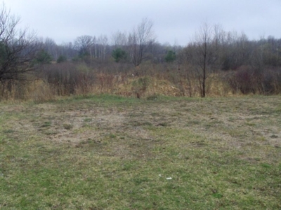 4939 M-65 Hale, MI featured photo 12