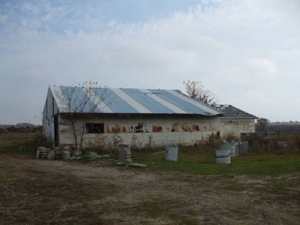 3780 Cody Lake, Coral, Michigan featured photo 9