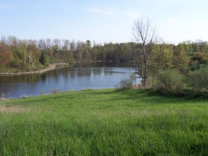 58 Acre Land Auction, Mt Pleasant, MI featured photo 22