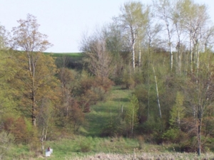 58 Acre Land Auction, Mt Pleasant, MI featured photo 27