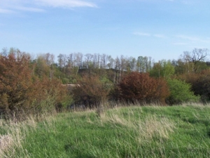 58 Acre Land Auction, Mt Pleasant, MI featured photo 33