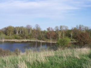58 Acre Land Auction, Mt Pleasant, MI featured photo 32