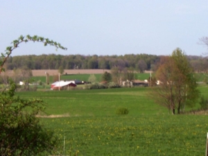 58 Acre Land Auction, Mt Pleasant, MI featured photo 29