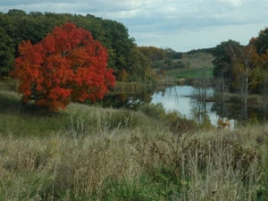 58 Acre Land Auction, Mt Pleasant, MI featured photo 47