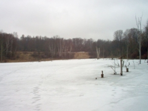 58 Acre Land Auction, Mt Pleasant, MI featured photo 55