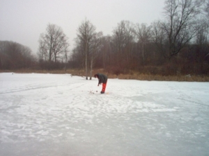 58 Acre Land Auction, Mt Pleasant, MI featured photo 51