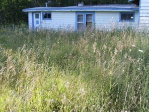 3031 E 12 Rd, Manton, MI featured photo 14