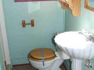 17111 Gene St, Wellston, MI featured photo 6