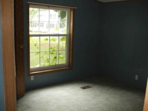 172 W. Garden St, Muir, MI featured photo 9