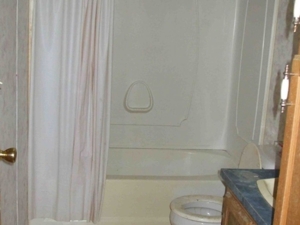 172 W. Garden St, Muir, MI featured photo 7