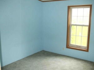 172 W. Garden St, Muir, MI featured photo 8