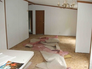 172 W. Garden St, Muir, MI featured photo 11