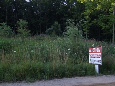 25th St. Allegan, MI featured photo 3