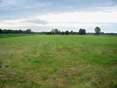 Onondaga Rd, Holt, MI featured photo