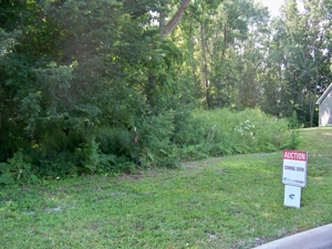 Lot # 119, Williamsburg Rd, Lansing featured photo 2