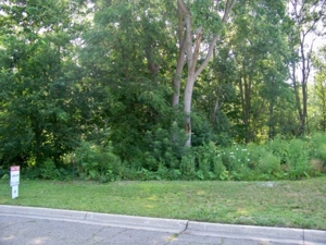 Lot # 119, Williamsburg Rd, Lansing featured photo 4