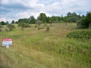 Butterfield Hwy, Bellevue, MI featured photo 2