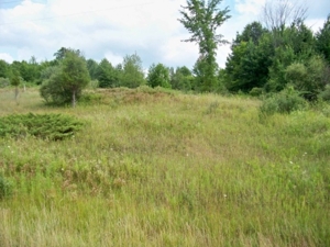 Butterfield Hwy, Bellevue, MI featured photo 4