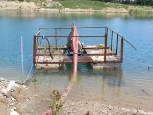 Spring Aggregate featured photo 26