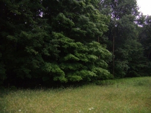 1444 S. Mertz (M-24) Rd Caro, MI featured photo 5