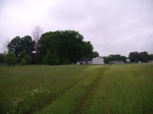 1444 S. Mertz (M-24) Rd Caro, MI featured photo 6