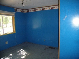 111 Forest Park, Prudenville, MI featured photo 8