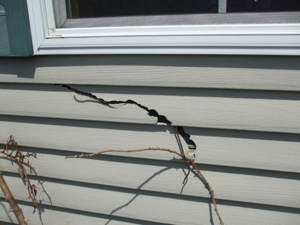 5590 Egner St., Cedar Springs, MI featured photo 11