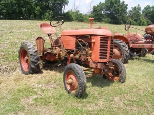 The Ledwidge Estate featured photo 113