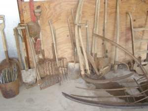 The Ledwidge Estate featured photo 149