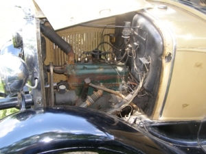 The Ledwidge Estate featured photo 166