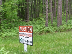 Vanderbilt Land Auction--160 Acres featured photo 2