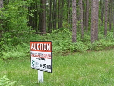 Vanderbilt Land Auction--160 Acres featured photo