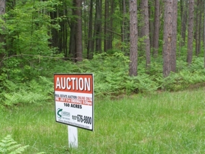 Vanderbilt Land Auction--160 Acres featured photo 4