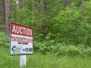 Vanderbilt Land Auction--160 Acres featured photo 10