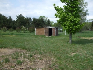 7923 Hahn Circle, Rapid City, MI featured photo 5