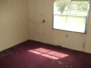 7923 Hahn Circle, Rapid City, MI featured photo 8