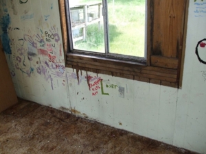 7923 Hahn Circle, Rapid City, MI featured photo 9