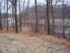 Trophy Real Estate Auction featured photo 11