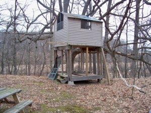 Trophy Real Estate Auction featured photo 16