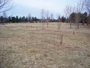 Trophy Real Estate Auction featured photo 14