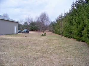 Trophy Real Estate Auction featured photo 18