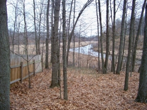 Trophy Real Estate Auction featured photo 20