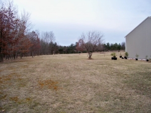 Trophy Real Estate Auction featured photo 19