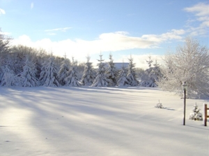 Trophy Real Estate Auction featured photo 30