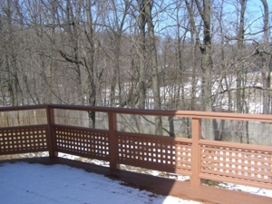 Trophy Real Estate Auction featured photo 43