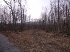 18419 Townline Rd  St Charles MI featured photo 4