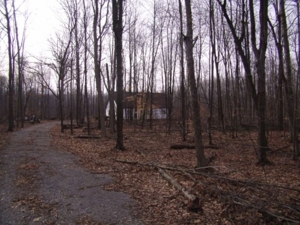 18419 Townline Rd  St Charles MI featured photo 5