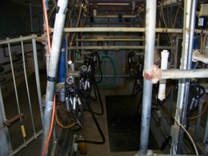 Bissell Farm Machinery Auction featured photo 29